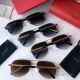 2017 Replica Cartier Sunglasses - Exact Replica (5)_th.jpg